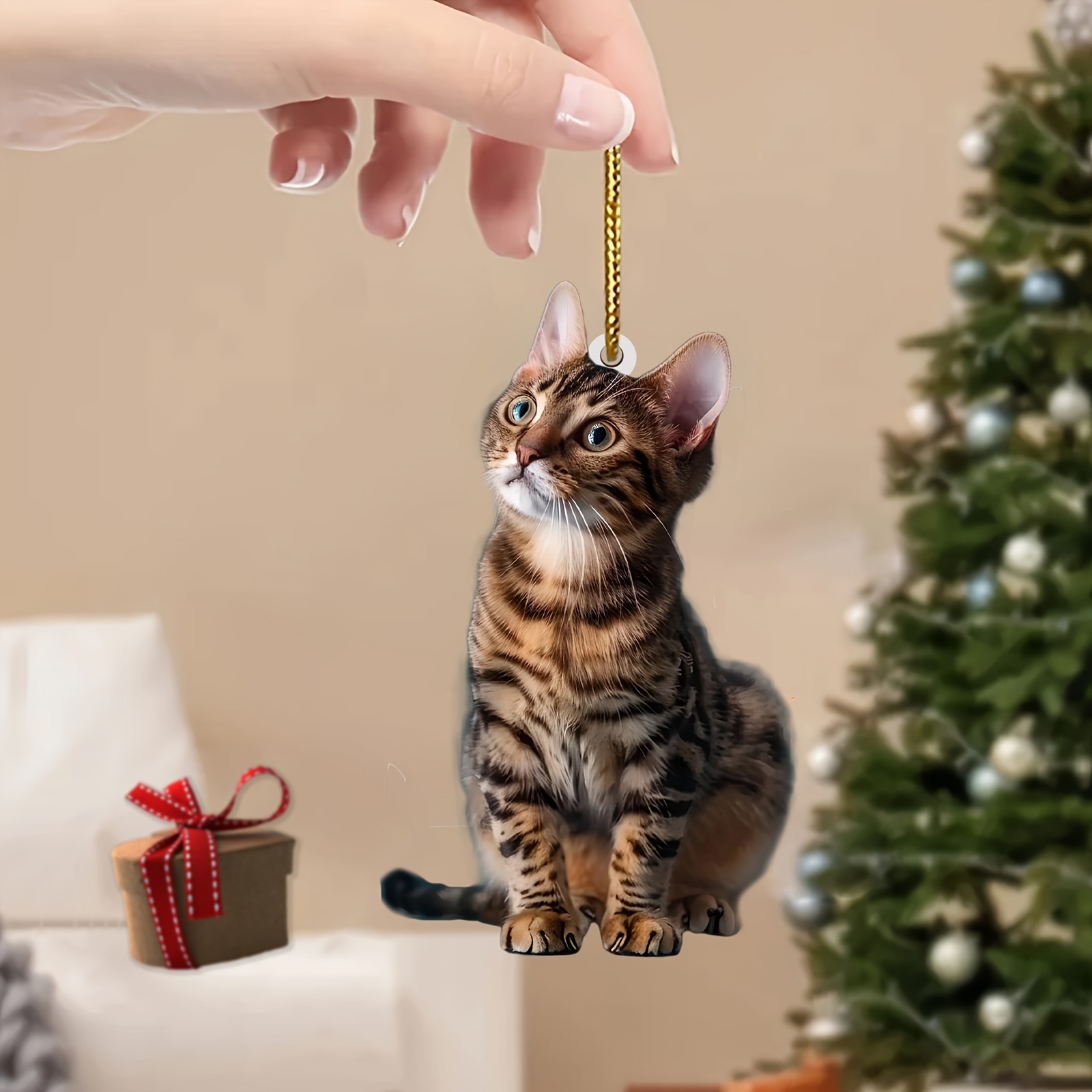 3 adet 2D Düz Kedi Akrilik Kol - Car Accessories Oman incelemesi ve fiyatı