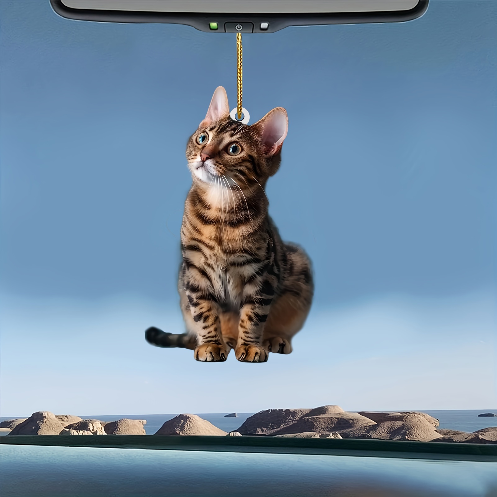 3 adet 2D Düz Kedi Akrilik Kol - Car Accessories Oman incelemesi ve fiyatı