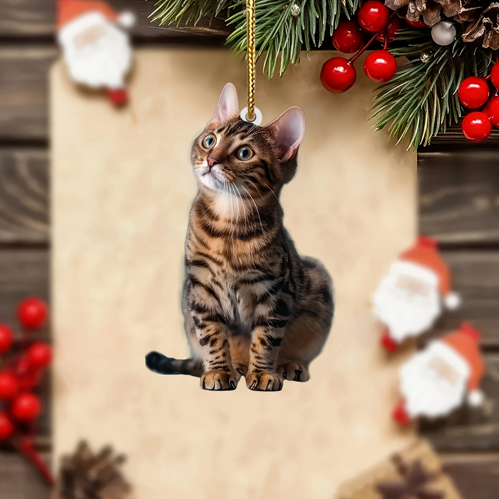3 adet 2D Düz Kedi Akrilik Kol - Car Accessories Oman incelemesi ve fiyatı